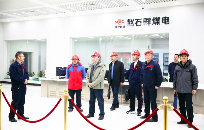 集团公司副总经理龙兴元一行莅临公司调研指导工作
