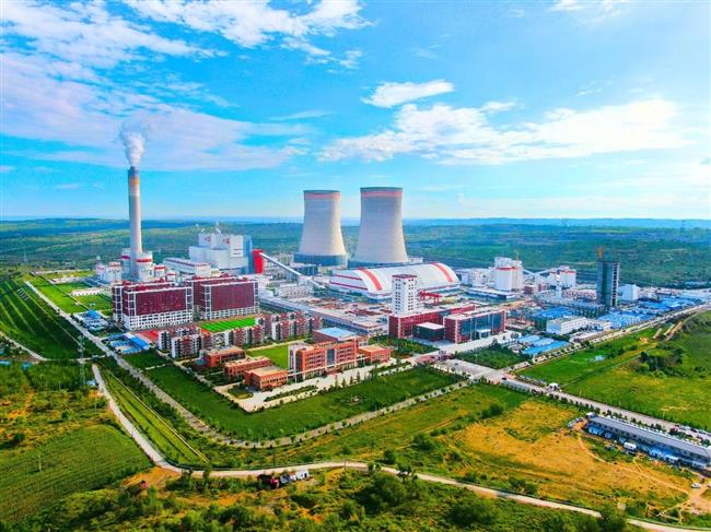 公司召开2024年度“五四”表彰大会暨青年座谈会