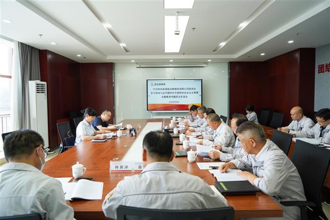 公司党委召开学习贯彻习近平新时代中国特色社会主义思想主题教育专题民主生活会