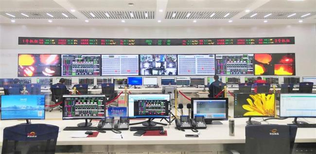 勠力同心战疫情 保电保供勇担当