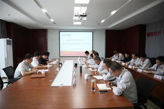 集团公司党史学习教育第五巡回指导组莅临公司指导党史学习教育工作