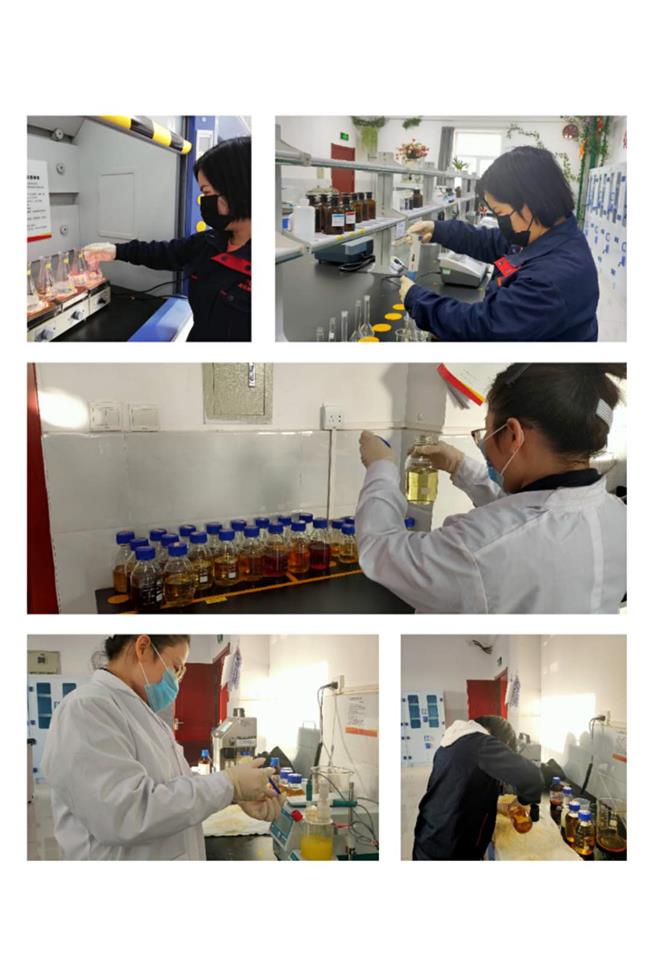 柔肩担重任，巾帼展风采