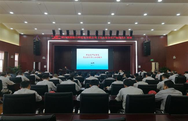 公司举办电力安全生产标准化建设专题培训