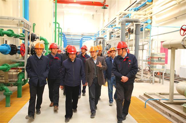 集团公司总经理宋老虎、副总经理王军营一行莅临公司检查指导工作