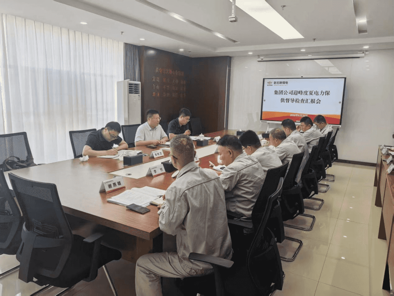 集团公司督导检查公司迎峰度夏电力保供及生产经营工作